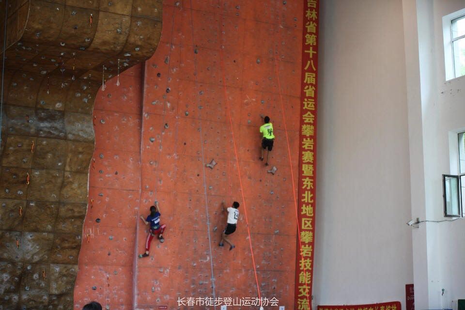 03153647vwk7.jpg